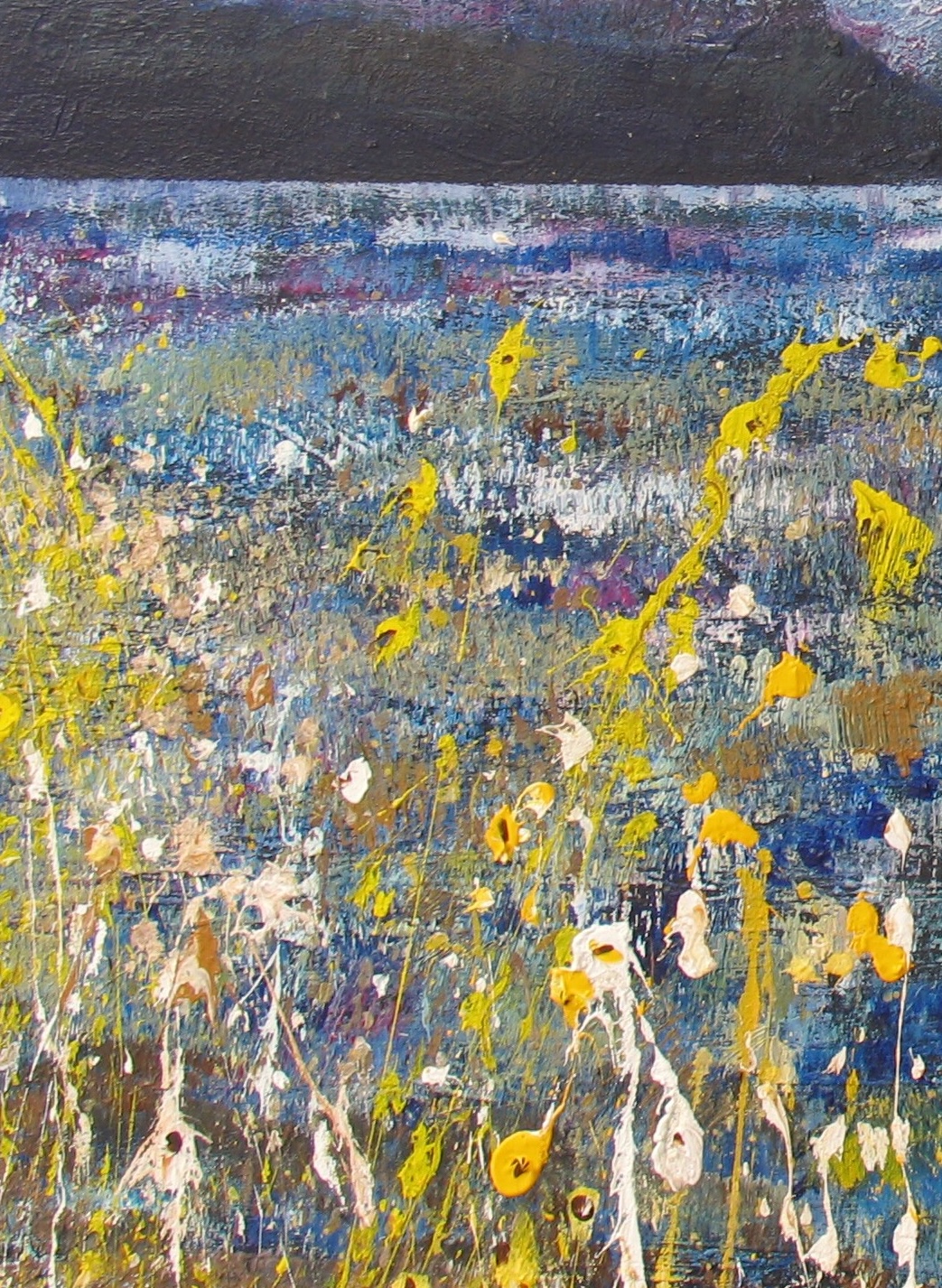 Close up blue barley landscape